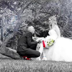 hochzeit75